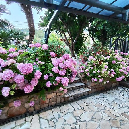 וולי לוסיניי Vacation House Orange מראה חיצוני תמונה